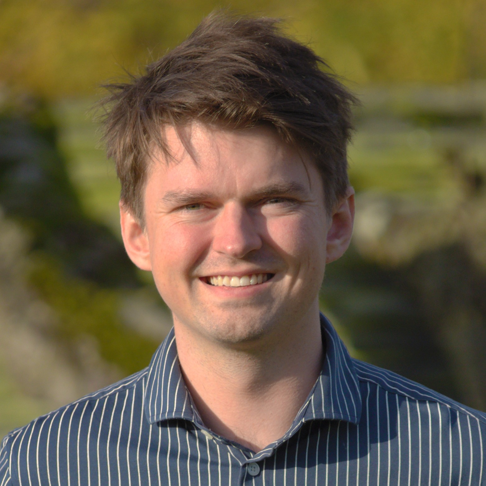 Albert Werner Laursen